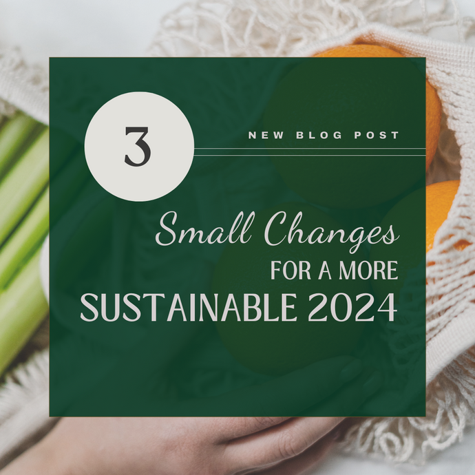 3 Small Changes for a More Sustainable 2024!
