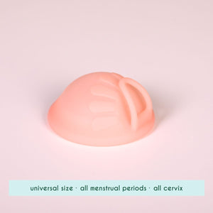 Femi.Eko - Menstrual Disc