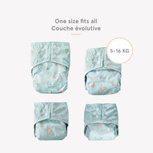 Load image into Gallery viewer, The Cloth Nappy Company La Petite Ourse All in One Nappy one size fits all